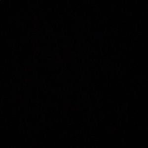 Meet your Posher, Bella